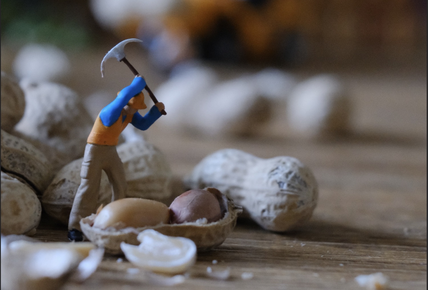 A miniature figure with a pickaxe stands among peanut shells, working to crack one open